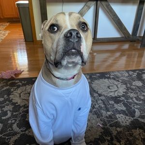 Meet your Posher, Sherri